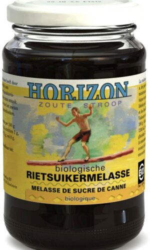 MELASA Z TRZCINY CUKROWEJ BIO 450 g - HORIZON