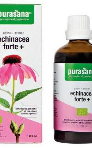 JEŻÓWKA PURPUROWA (ECHINACEA FORTE) KROPLE BIO 100 ml - PURASANA