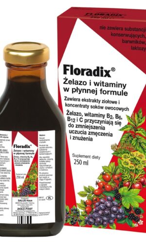 SUPLEMENT DIETY ŻELAZO + WITAMINY W PŁYNIE 250 ml - SALUS (FLORADIX)