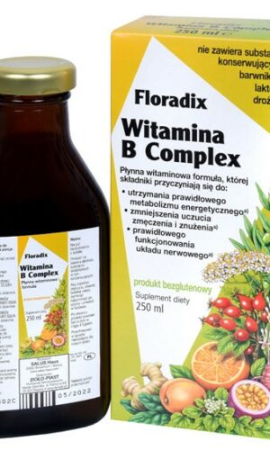 SUPLEMENT DIETY WITAMINA B COMPLEX W PŁYNIE BEZGLUTENOWA 250 ml - SALUS (FLORADIX)