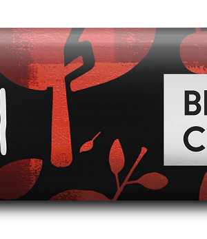 BATON Z GORZKIEJ CZEKOLADY Z CRUNCHY WIŚNIOWYM BIO 35 g - VIVANI