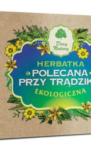 HERBATKA POLECANA PRZY TRĄDZIKU BIO (25 x 2 g) 50 g - DARY NATURY