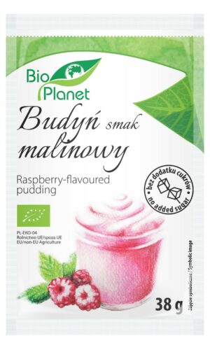 BUDYŃ O SMAKU MALINOWYM Z MALINAMI BIO 38 g - BIO PLANET