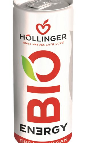 NAPÓJ ENERGETYZUJĄCY O SMAKU JABŁKO - JEŻYNA BIO 250 ml - HOLLINGER